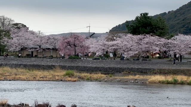 正しく理解されないと嫌な気持ちになるのはなぜ？放置されて育った人が抱える安心の仕組みの記事動画