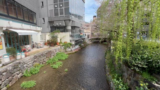 嫌な人ほど気に入られようとしてしまう理由｜虐待されて育った人の“人間関係の頑張り方のクセの記事動画