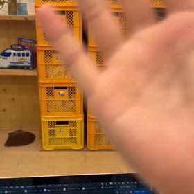 テスト　2024.10.24の画像