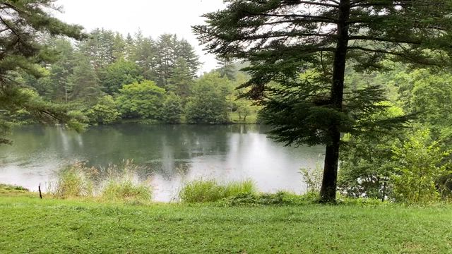 野生のシカに遭遇して一人窮地に陥った話☆の記事動画