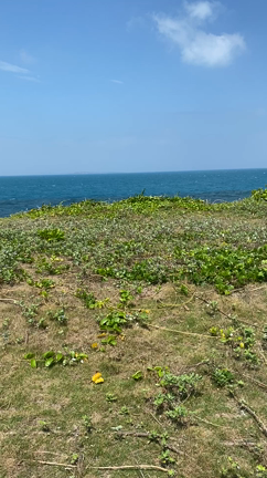 この旅メインの久高島での気づき☆ミラクル沖縄旅の記事動画