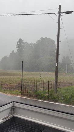 外は大荒れのお天気☔️の記事動画