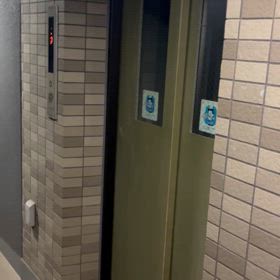 また始まった平穏な日々は終わりの画像