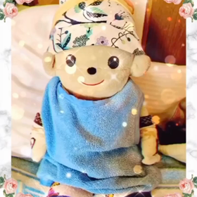お家のマメちゃん❤️の画像