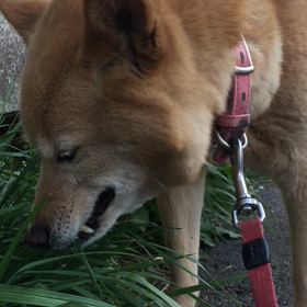 顔怖っの画像