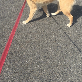 大好きの画像