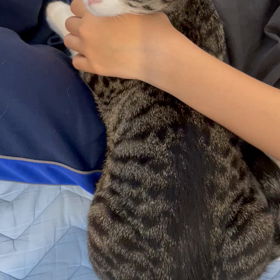 ミミちゃんの様子　甘えん坊の画像