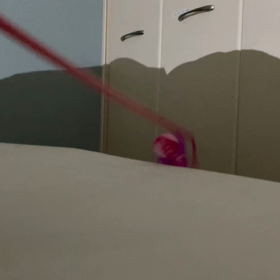 ミミちゃんの様子　釣りの画像