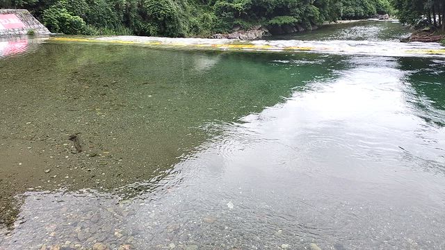 7/8(水)  兵庫県姫路市 夢前川 木戸ダムで、友達と川遊びの記事動画