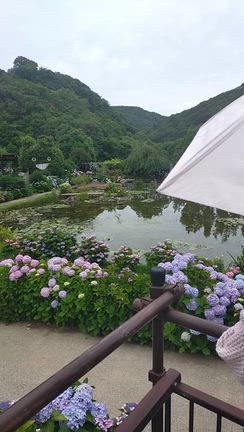 淡路島小旅行② あわじ花山水→鮎屋の滝の記事動画