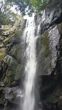 淡路島小旅行② あわじ花山水→鮎屋の滝の記事動画