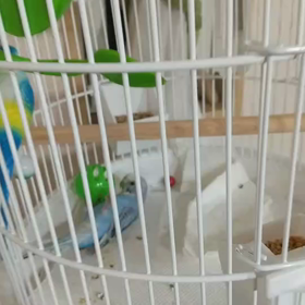 リラックスの画像