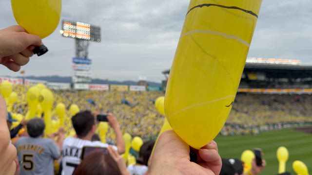 チャミの7歳のお祝いと甲子園✨の記事動画