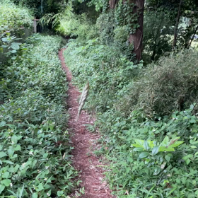 田舎な近所の獣道での画像