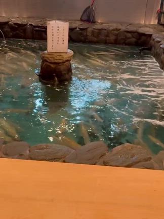 福岡で活いかの記事動画