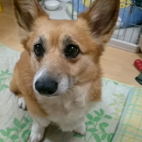 ご要望（(^｡^;)）にお応えしての画像