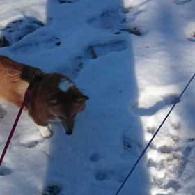 今年初の雪遊びの画像