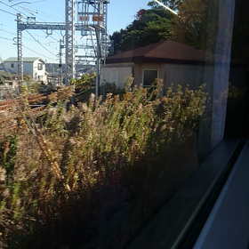 2022/11/24の画像