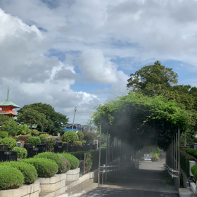 お墓参りの画像