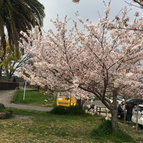 退院して１年の画像