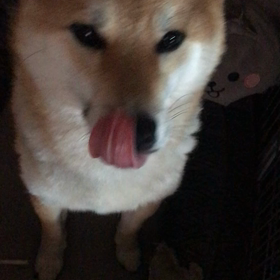最近の体調の画像