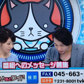 猫のひたいほどワイドver.1の画像