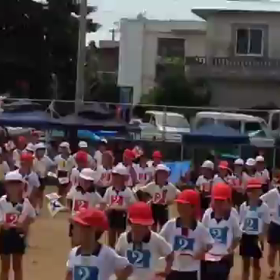 宮古島だけなの？の画像