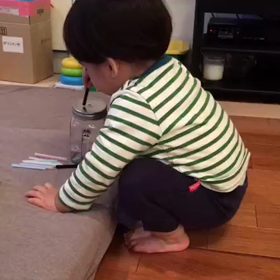 主人からの動画の画像