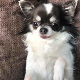 おはようの画像