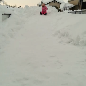 2021/01/14の画像