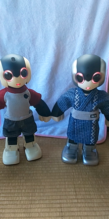 謹賀新年の記事動画