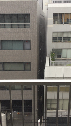 豪雨の記事動画