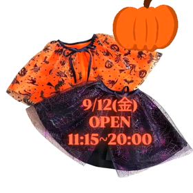 2025/09/11の画像