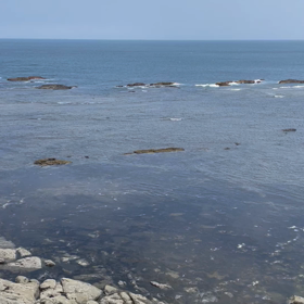 海の画像