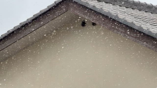 ブログ更新 しばらくお休みさせて下さい！の記事動画