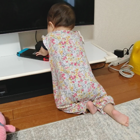 歯とズリバイの画像