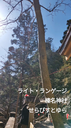 春です♡の記事動画