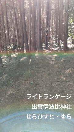新月の夜に♡の記事動画
