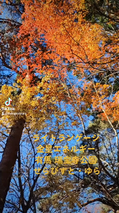 クラウンチャクラから♡の記事動画