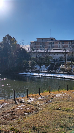 公園でリフレッシュ♡の記事動画