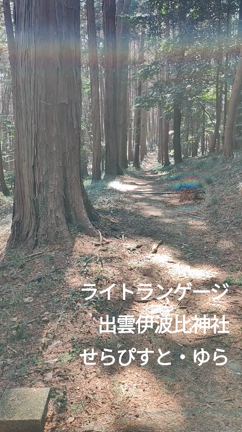 善き始まり♡の記事動画
