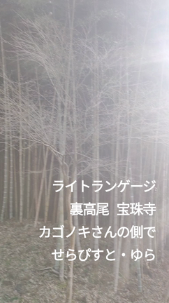 今年もお世話になりました♡の記事動画