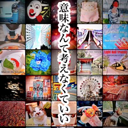 無題の記事動画