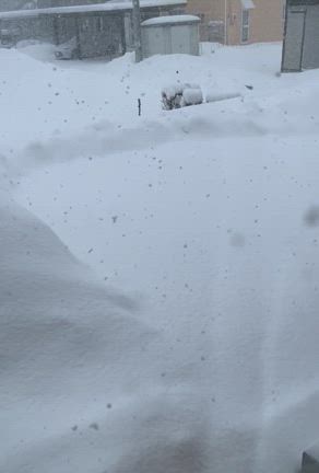 2/5（水）雪かき三昧。（42,乙巳）の記事動画