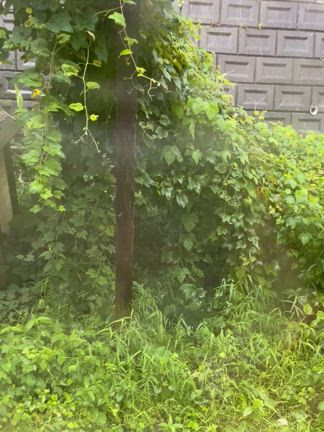 8/27（水）朝活と「魔女活」と。（5,戊辰）の記事動画