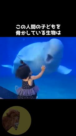 2025年10月の予想の記事動画