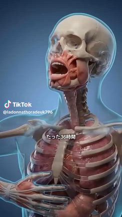 2026年2月の予想の記事動画