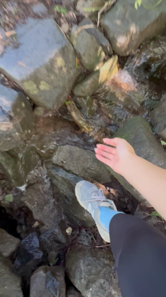 【光州】光州の100%無等山を楽しもう！の記事動画