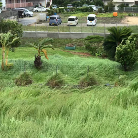 強風の画像