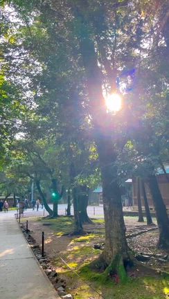【神在月の出雲旅①】主人と巡る出雲大社と、“美肌の湯” 湯の川温泉✨の記事動画